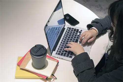 力大狮公司介绍